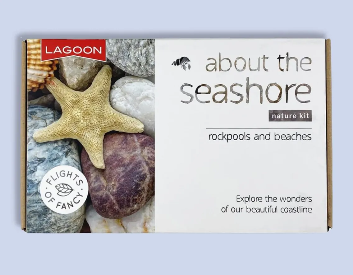 Adventurer|Educational-Lagoon About the Seashore - Rockpools & Beaches
