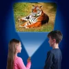 Sensory|Age 4-Brainstrom Toys Animal Torch and Projector