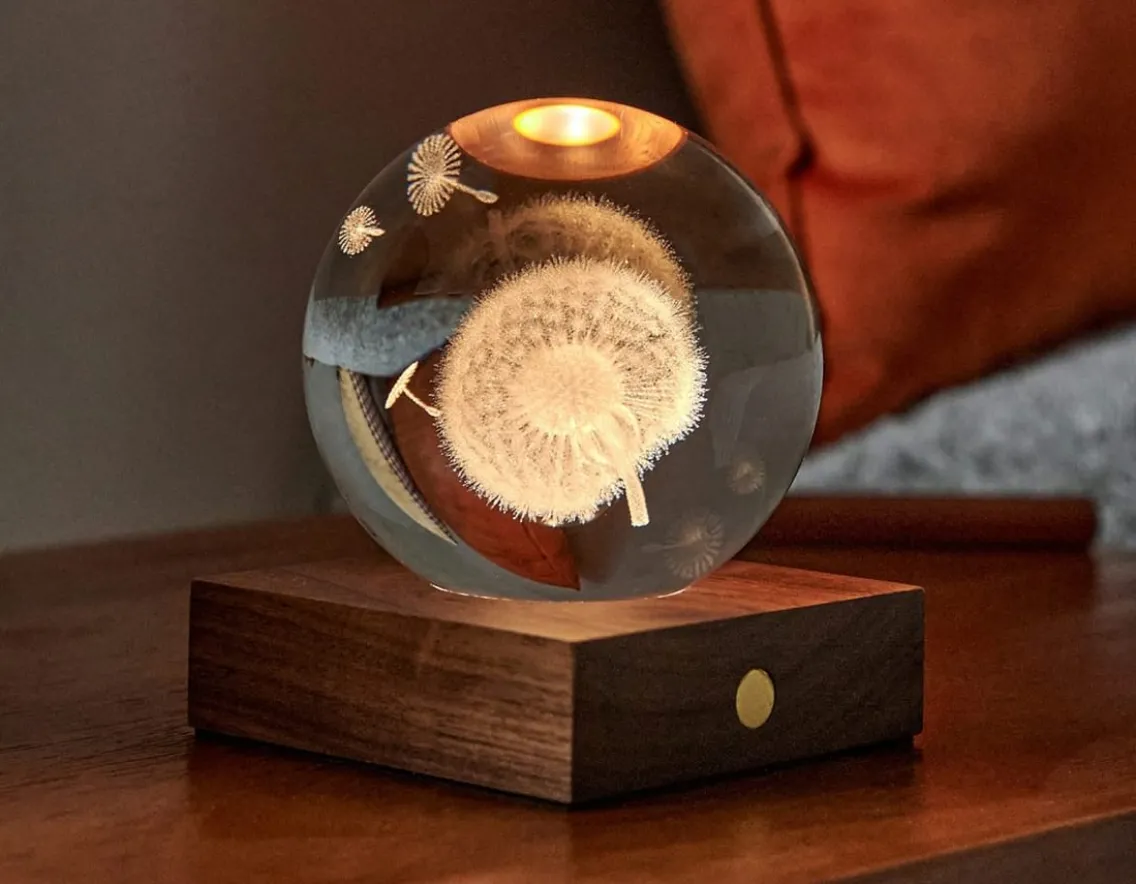 Fashion & Style|Sensory-Gingko Dandelion Crystal Light - 3D Effect