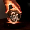 Fashion & Style|Sensory-Gingko Dolphins Crystal Light - 3D Effect