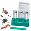 Creativity|Magic, Spooky & Spells-4M Glow Critter Lab - Spider, Scorpion & Centipede