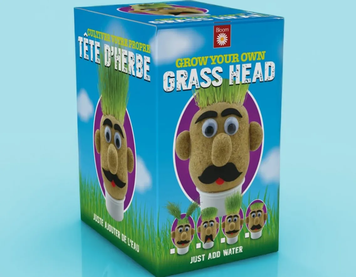 Creativity|Wicked Fun-Funtime Gifts Grass Head - Grow Your Own