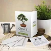 Creativity|Educational-Gift Republic Grow It Bonsai Trees