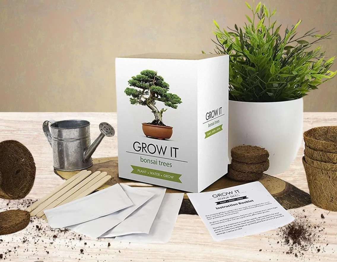 Creativity|Educational-Gift Republic Grow It Bonsai Trees