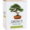 Creativity|Educational-Gift Republic Grow It Bonsai Trees