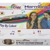 Creativity|Educational-Rainbow Harmonica Set - Learning Music made Easy!