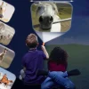 Wicked Fun|Age 4-Brainstorm Toys Horse Torch and Projector
