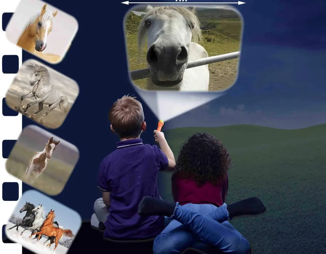 Wicked Fun|Age 4-Brainstorm Toys Horse Torch and Projector