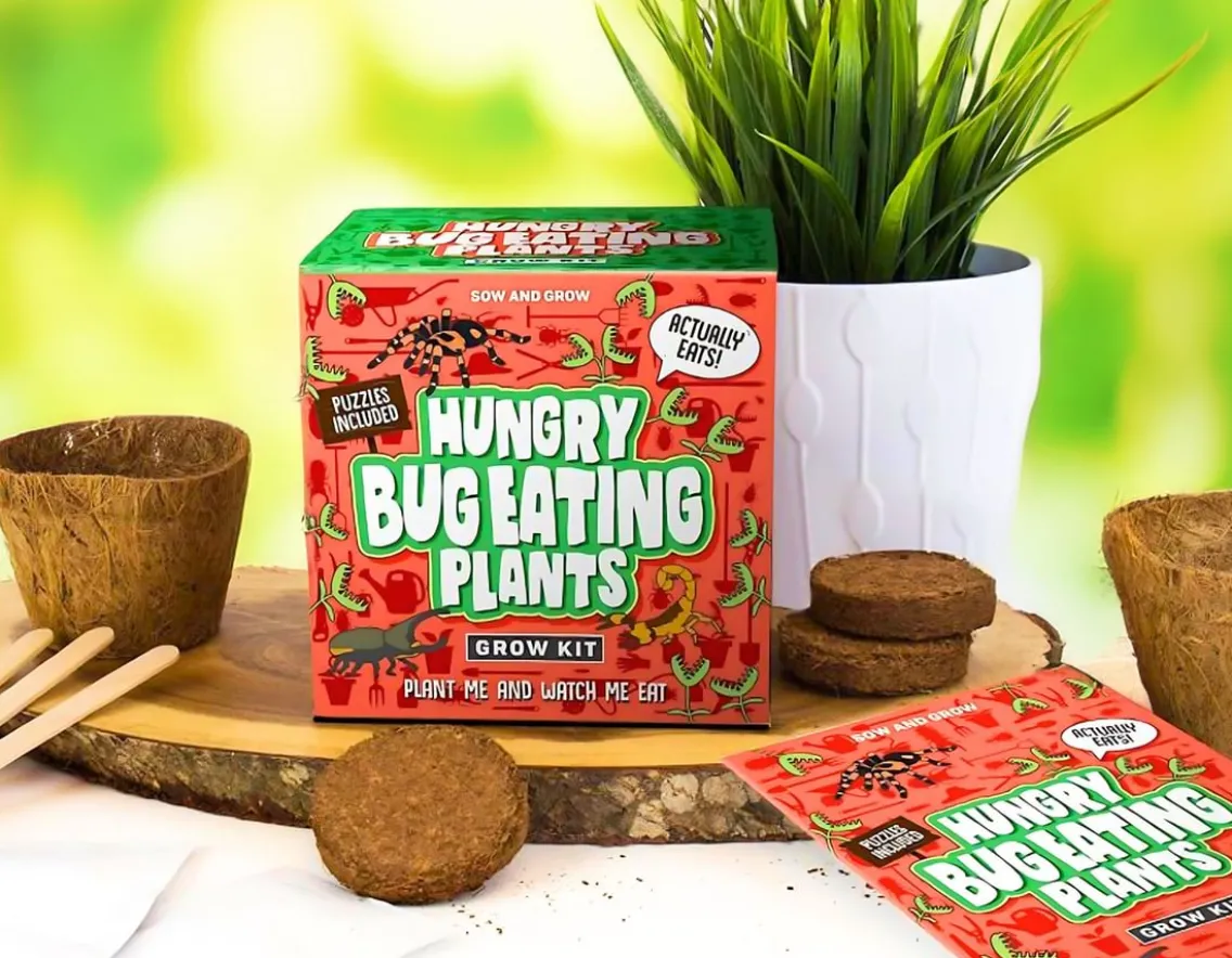 Creativity|Educational-Gift Republic Hungry Bug Eating Plants - Grow Your Own