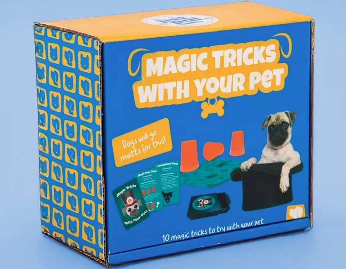 Magic, Spooky & Spells|Wicked Fun-Fizz Creations Magic Tricks With Your Pet