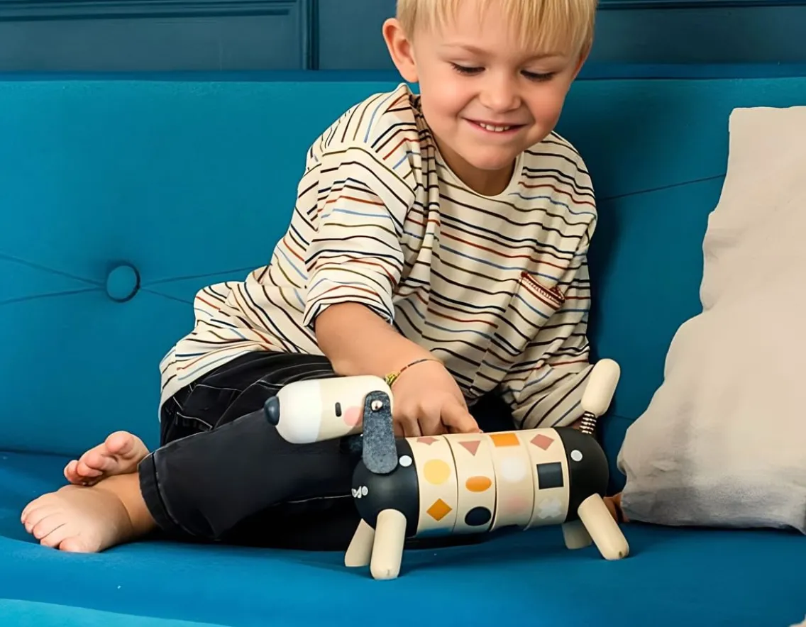 Adventurer|Educational-Janod Shapes & Colours Dog - Sweet Cocoon