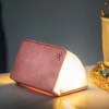 Fashion & Style|Age 14-Gingko Smart Book Light - Blush Pink